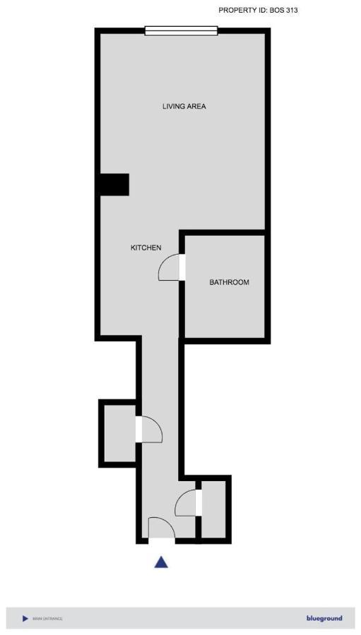 Central Sq Studio W Gym Doorman Wd Roof Bos-313